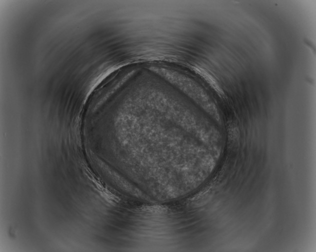 X0000091691023200709131603