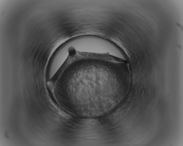 X0000091691024200709131603