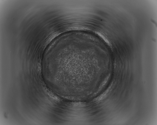 X0000091691025200709131603