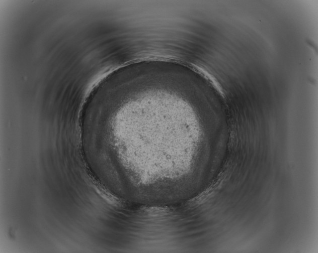 X0000091691027200709131603