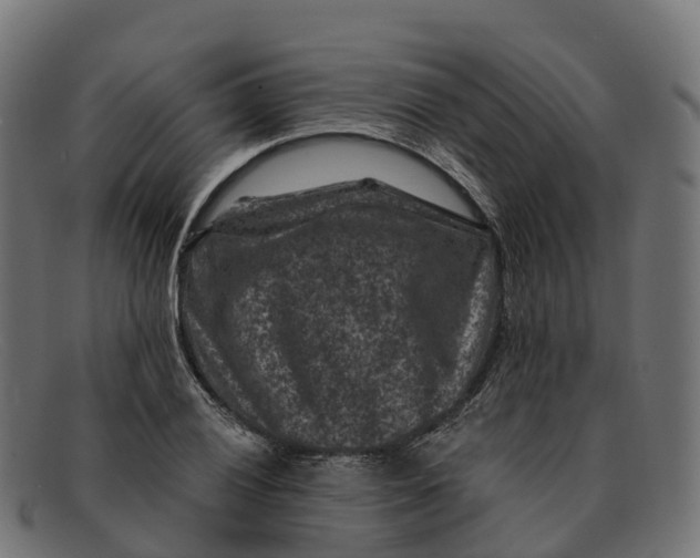 X0000091691028200709131603