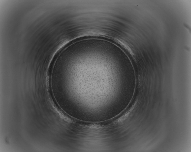 X0000091691029200709131603