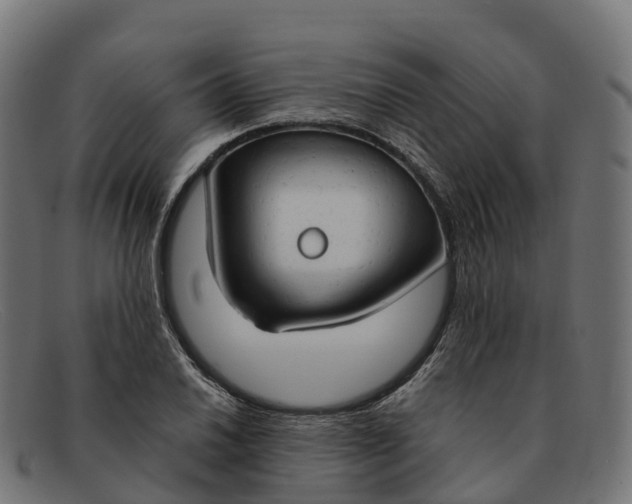 X0000091691030200709131603