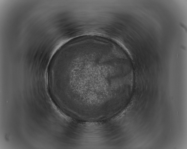 X0000091691032200709131603