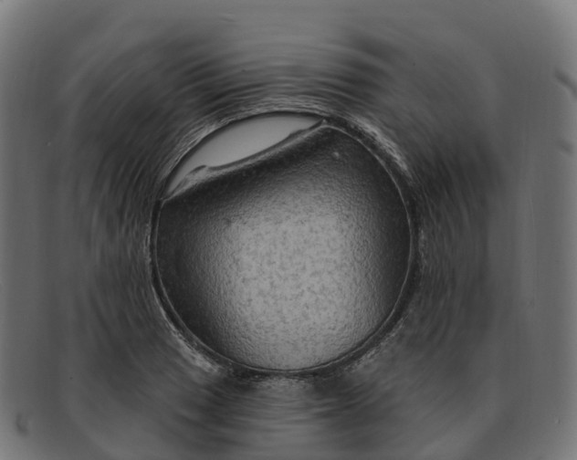 X0000091691033200709131603