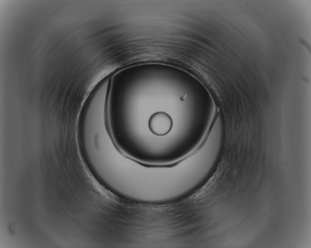 X0000091691034200709131603