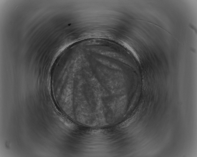 X0000091691035200709131603