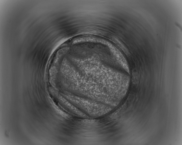 X0000091691036200709131603