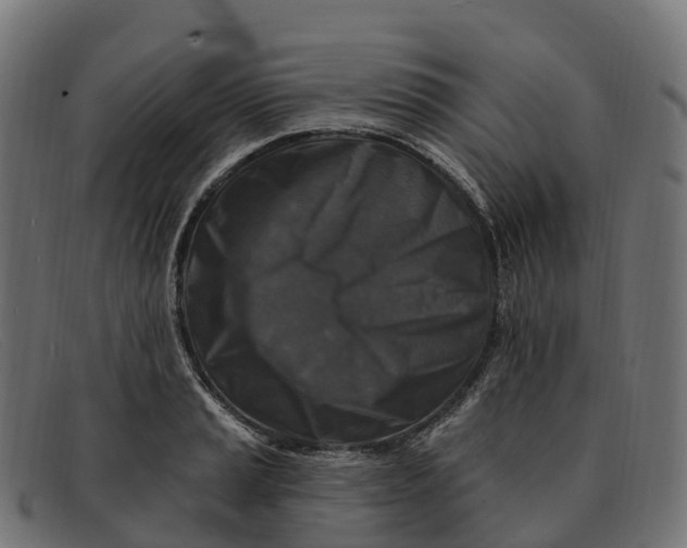 X0000091691037200709131603