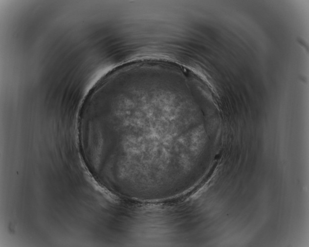 X0000091691038200709131603