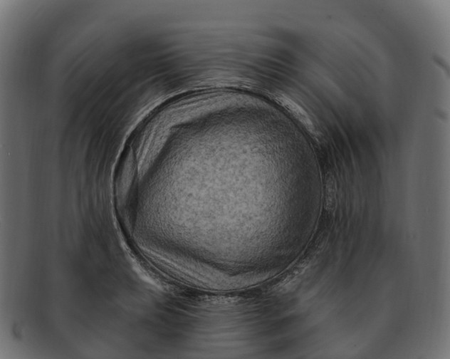 X0000091691039200709131603