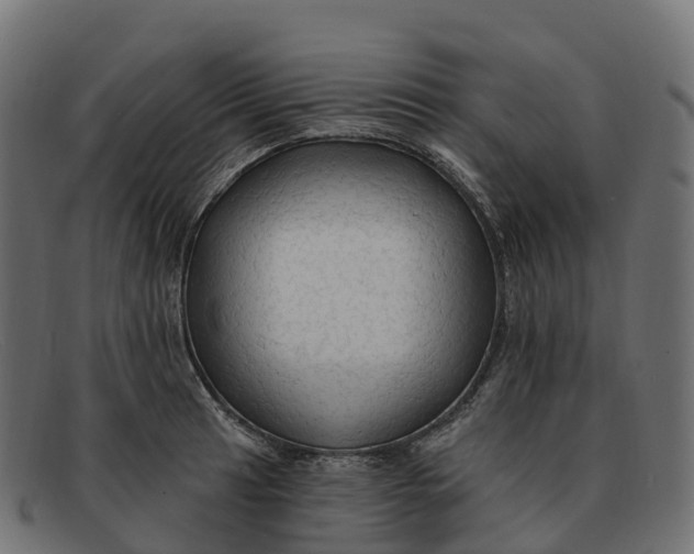 X0000091691041200709131603