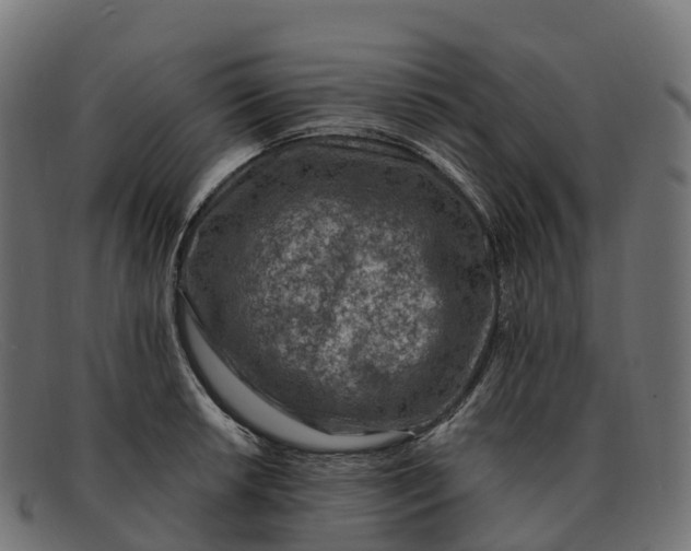 X0000091691042200709131603