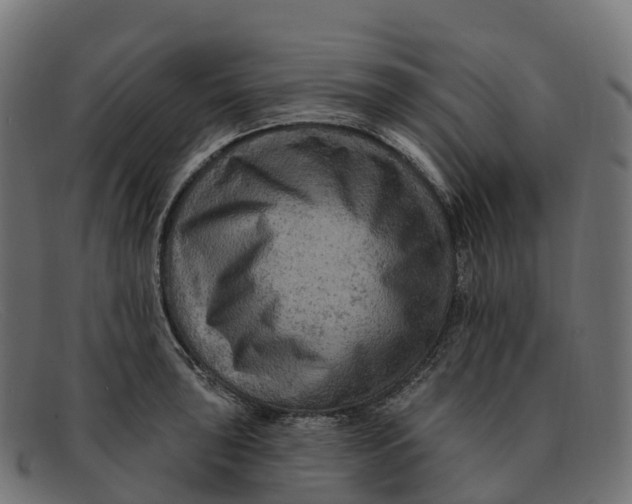 X0000091691043200709131603