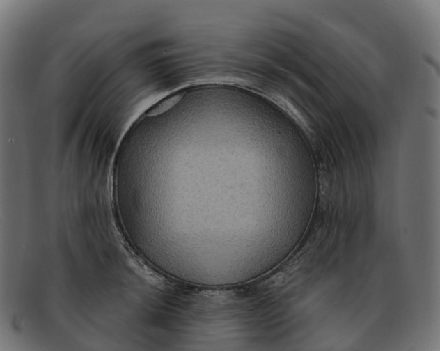 X0000091691044200709131603