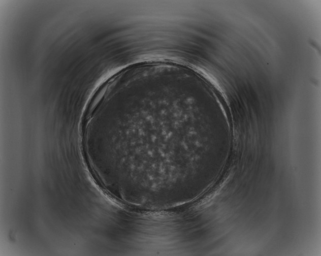 X0000091691045200709131603