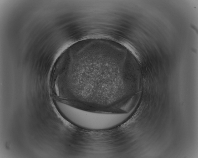 X0000091691046200709131603