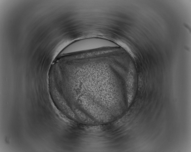 X0000091691047200709131603