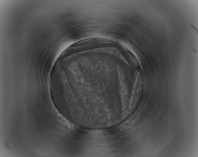 X0000091691048200709131603