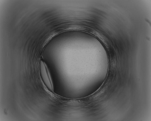 X0000091691049200709131603