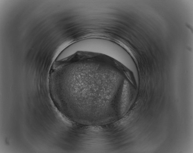 X0000091691050200709131603