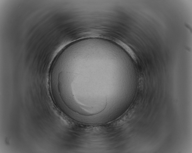 X0000091691051200709131603