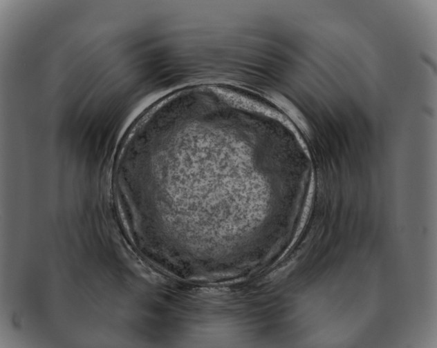 X0000091691052200709131603