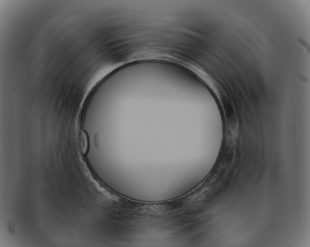 X0000091691053200709131603