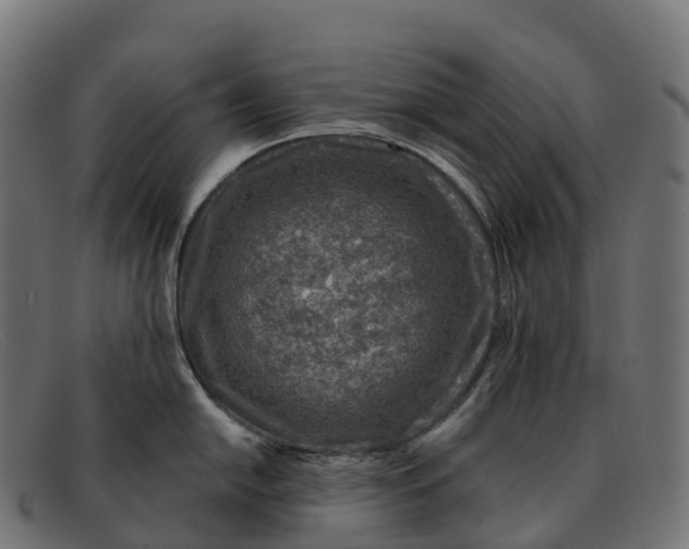 X0000091691054200709131603