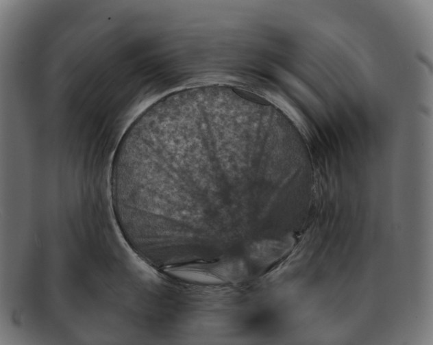 X0000091691055200709131603