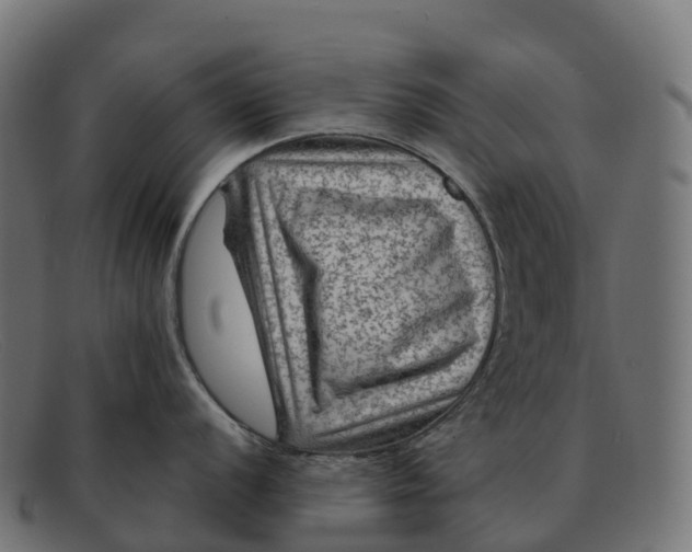 X0000091691056200709131603