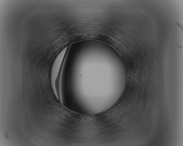 X0000091691058200709131603