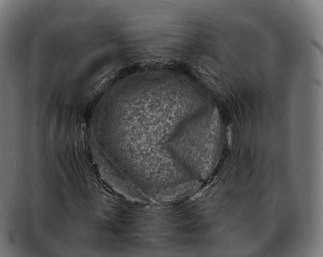 X0000091691059200709131603