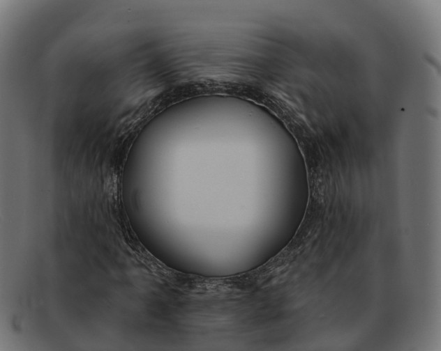 X0000091691061200709131602