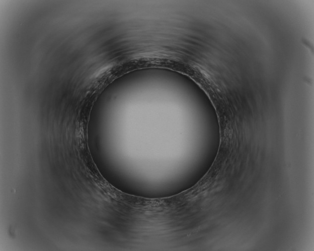 X0000091691062200709131602