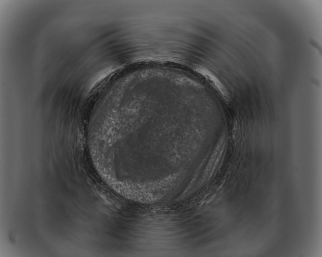 X0000091691064200709131602