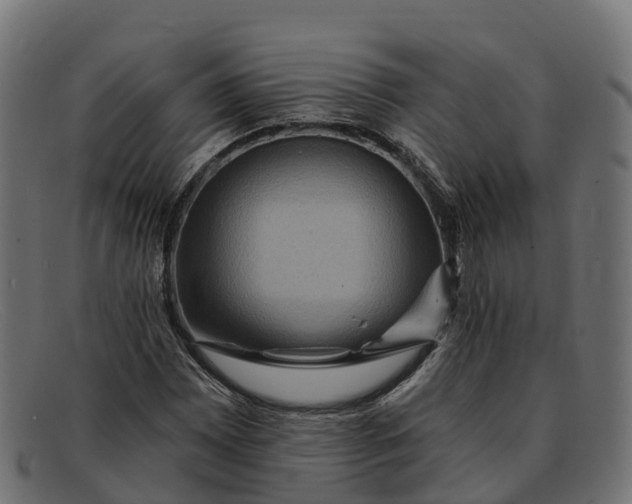 X0000091691065200709131602