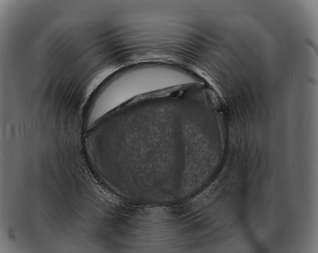 X0000091691066200709131602