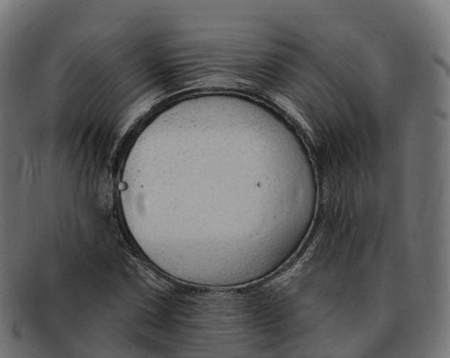 X0000091691067200709131602