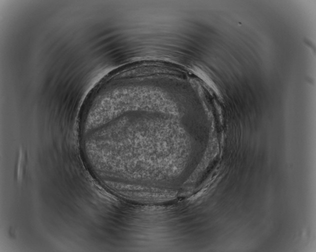 X0000091691068200709131602