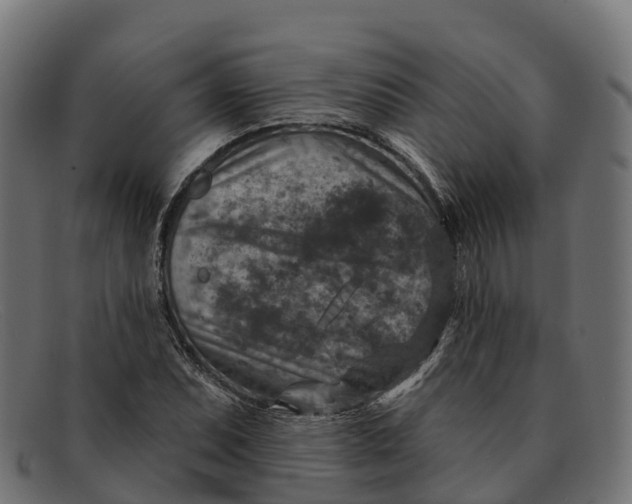 X0000091691071200709131602