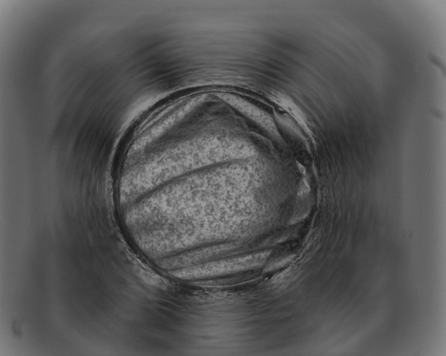 X0000091691072200709131602