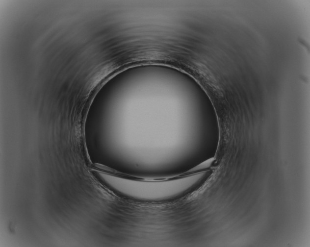 X0000091691073200709131602