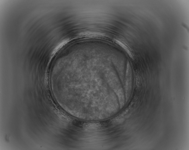 X0000091691074200709131602