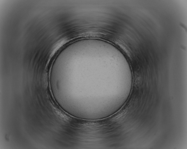 X0000091691075200709131602