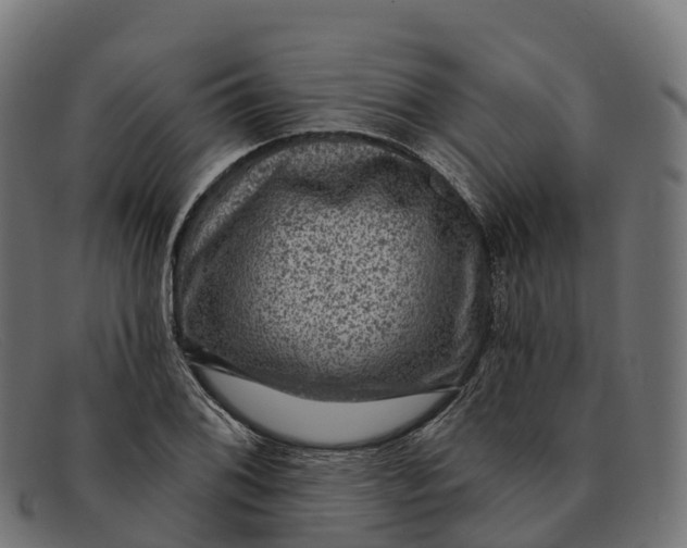 X0000091691076200709131602