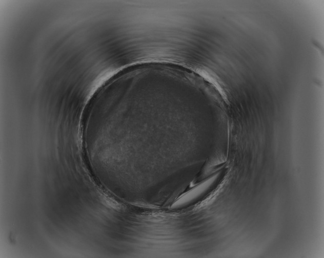 X0000091691077200709131602