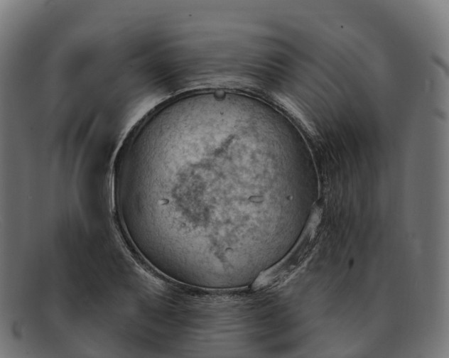 X0000091691079200709131602