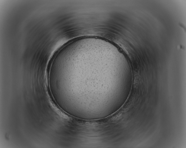 X0000091691080200709131602