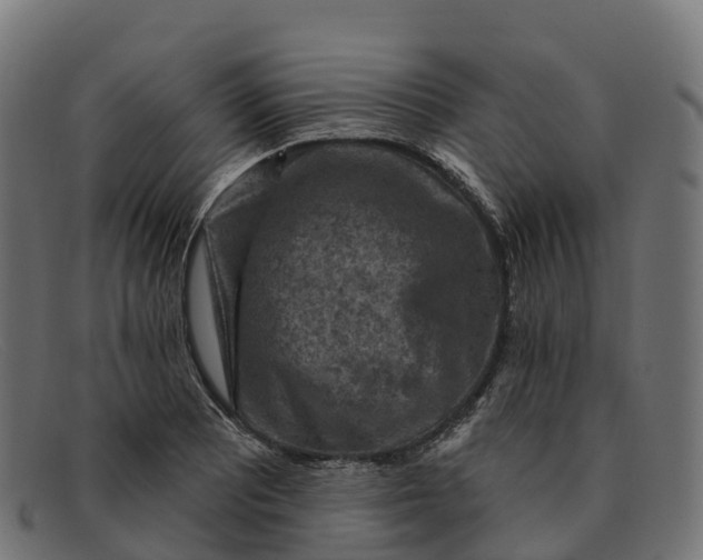 X0000091691081200709131602